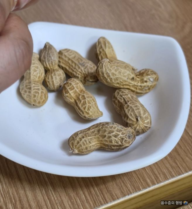 포항 죽도시장 물회 맛집 수향회식당: 블루리본 로컬맛집에서 즐기는 물 없는 물회