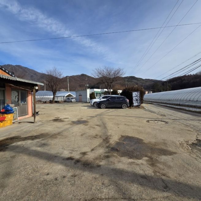 양평 고향식당 용문산 토종닭 맛집