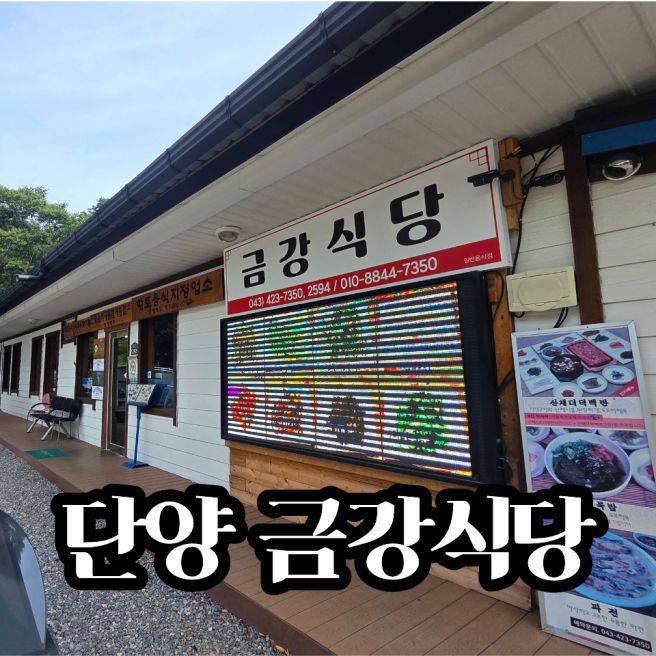 단양 금강식당 후기 | 산채더덕백반 먹고 계곡까지 즐긴 단양 한정식 맛집
