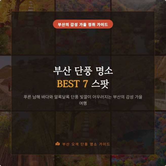 부산 단풍 명소 베스트 7 붉게 물든 바다 도시의 가을 힐링 드라이브와 숨은 단풍길 코스 완벽 가이드