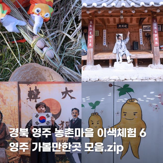 경북 영주 가볼만한곳 국내 가을여행지 추천 6