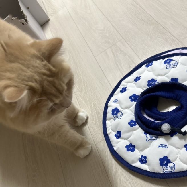 (2025) 7월 1주차 일상