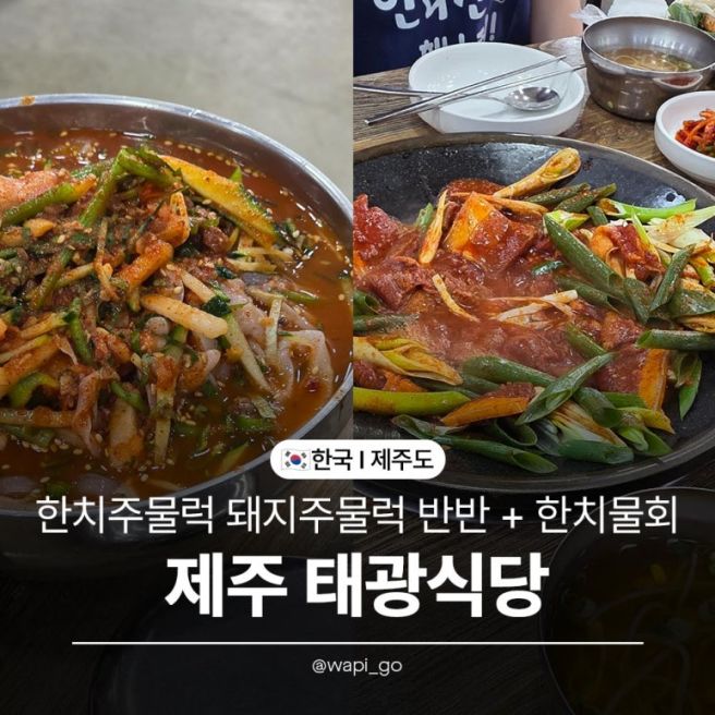 [제주/맛집] 제주공항 근처 맛집 '태광식당' 한치주물럭+돼지주물럭 반반, 한치물회