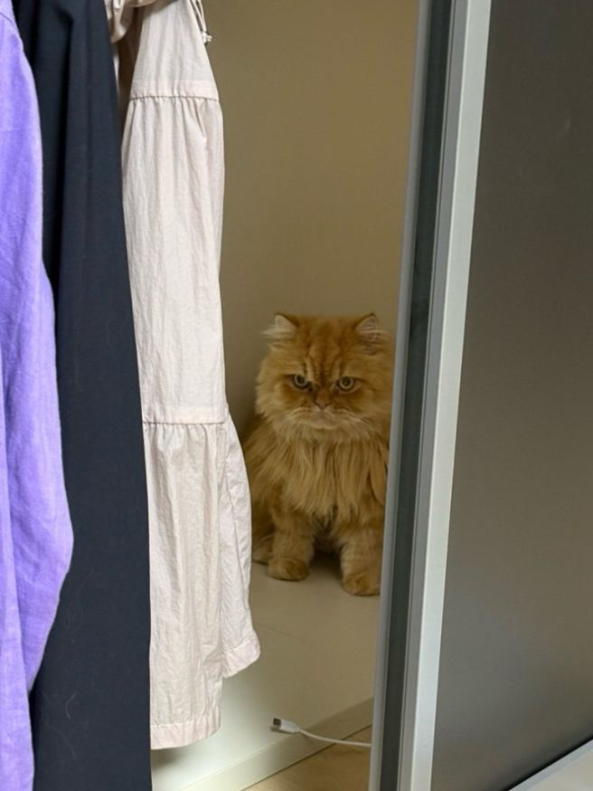 9월은 내 생일 그리고 씨씨의 발견.. 임신이라고요