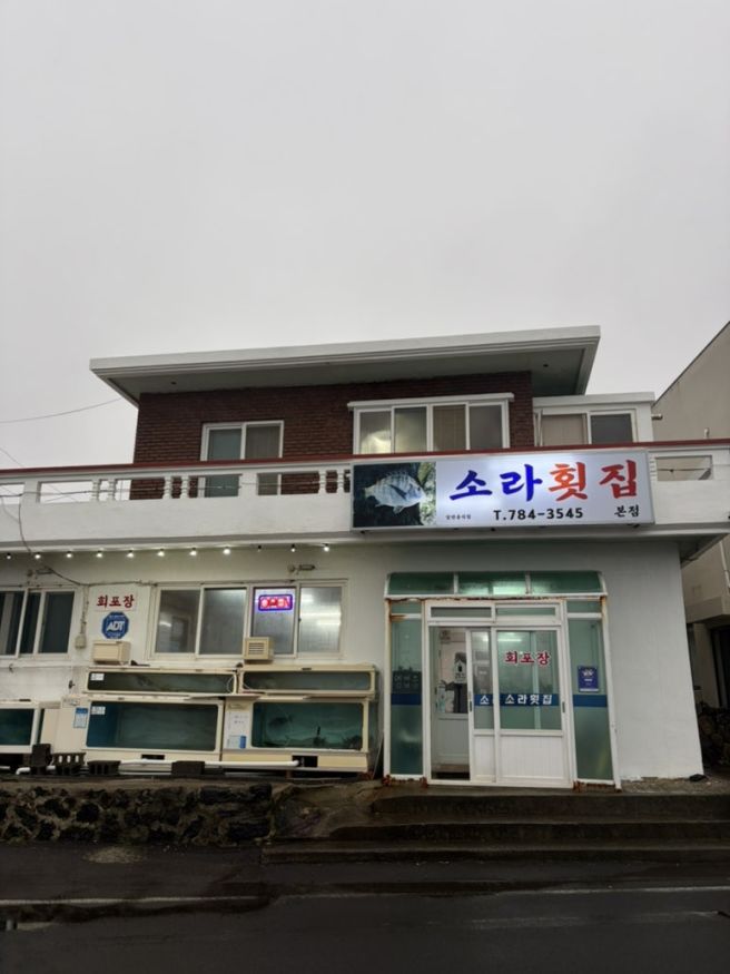 제주 동쪽 맛집 추천, 평대리 해산물 찐 맛집 _소라횟집