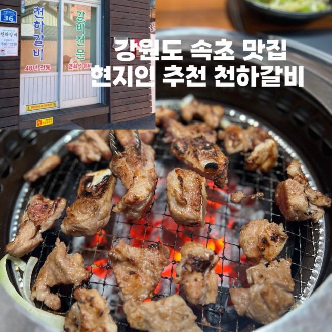 강원도 속초 여행 맛집 추천 내돈내산 현지인 맛집 천하갈비