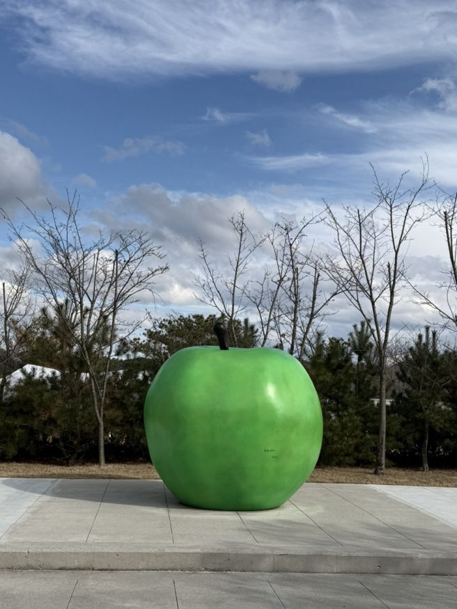 [강원] 원주 데이트 : 뮤지엄산 명상관, 원주 중앙시장 소고기 맛집