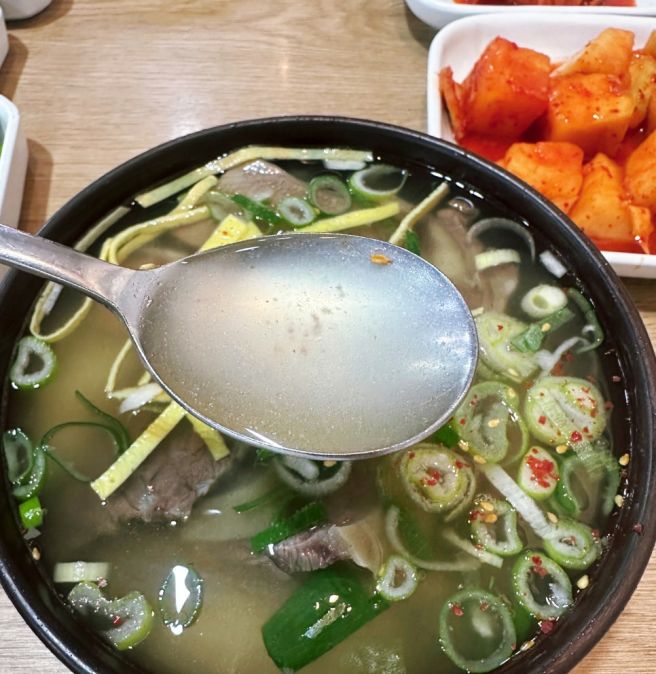 전남 나주 깔끔한 수육곰탕 맛집 추천 나주곰탕 하얀집