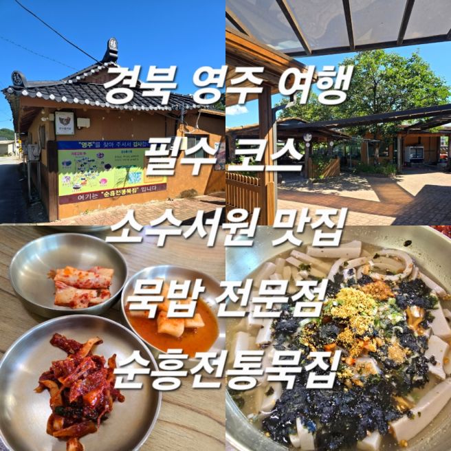 경북 영주 여행 필수 코스 소수서원 맛집 묵밥 전문점 순흥전통묵집 내돈내산