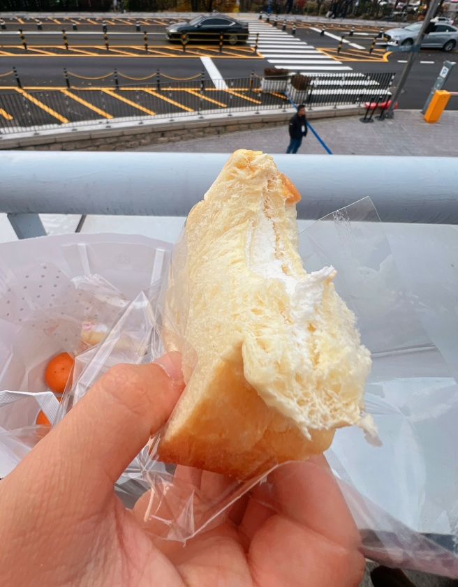 중구 태극당 후기 70년전통 레트로빵맛집! 인기메뉴 리뷰