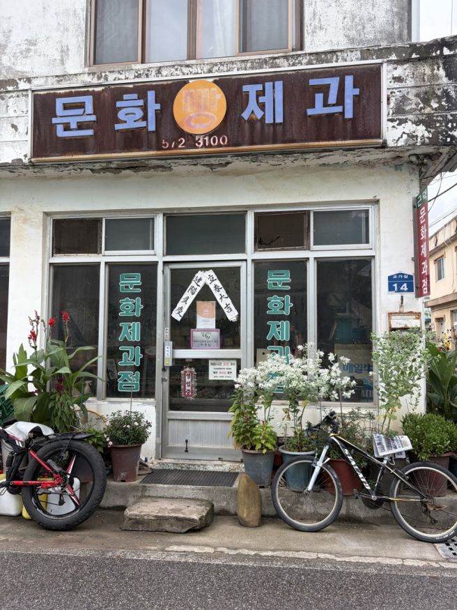 삼척맛집 : 옛날스타일 꽈배기 문화제과 내돈내산 후기