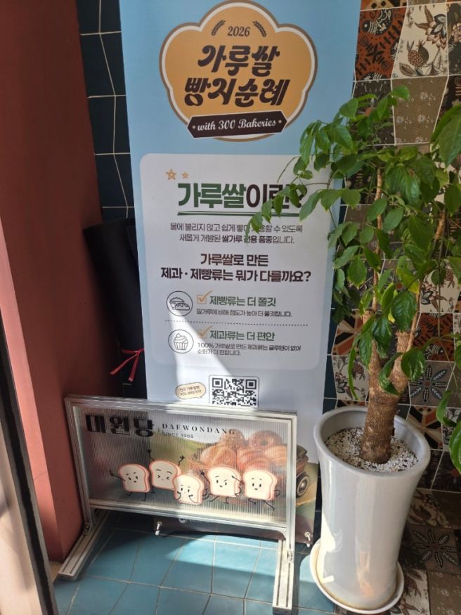 춘천 빵집 빵지순례 필수코스 대원당