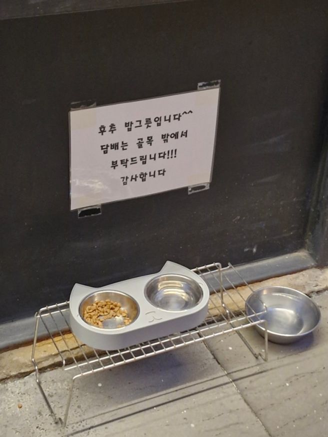 [부산 경성대부경대] 우동사리가 들어간 맑은 돼지국밥, '1953형제 돼지국밥 본점'🐷 내돈내산 후기