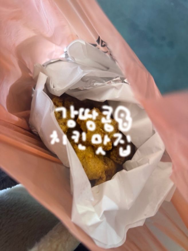 제주도 서귀포 올레시장 마농치킨 맛집 <중앙통닭> 싱싱올레해산물 포장 내돈내산 솔직후기