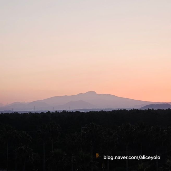 제주 여행 3일차.(2025.11.04~06) 한림공원, 돌하르방 식당, 금능해변, 제주공항 면세점.