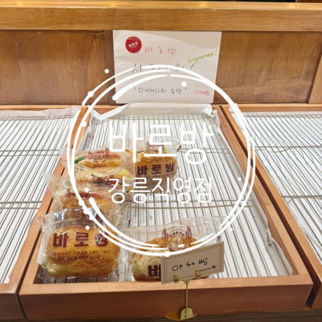 강릉 빵집 바로방 경포직영점 내돈내산