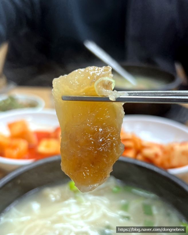 남대문시장 점심추천 노포 맛집 진주집