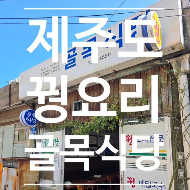 [제주] 현지인들 사이에 나만 여행객이었던 진짜 제주맛집. 꿩요리 아직도 안먹어봔? [골목식당]