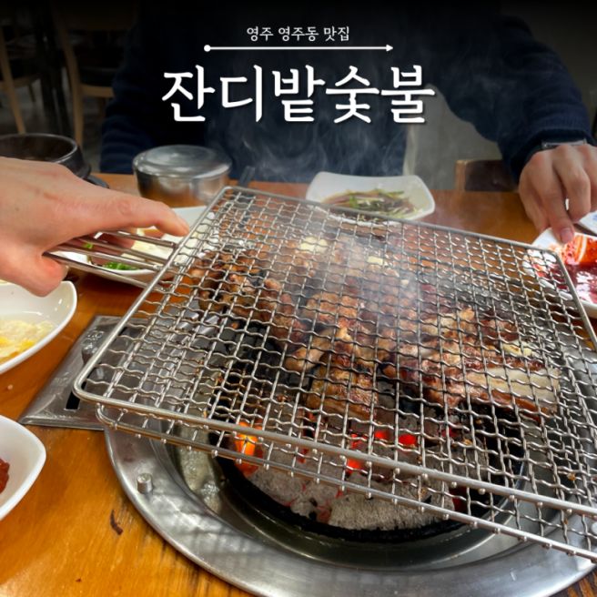 돼지갈비 하나로 승부 보는 경북 영주 로컬 맛집 잔디밭숯불 본점
