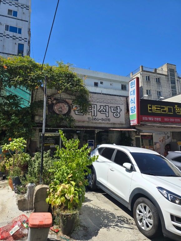 [대구 북구 복현동, 경북대근처 또 가고싶은 푸짐하고 건강한 노포밥집] 현대식당 (feaf. 8,000원)