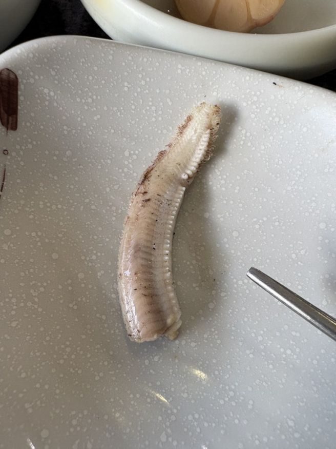 [부산/송정]기장 해동용궁사 대한 명인 기장곰장어 짚불곰장어 부모님 맛집 후기