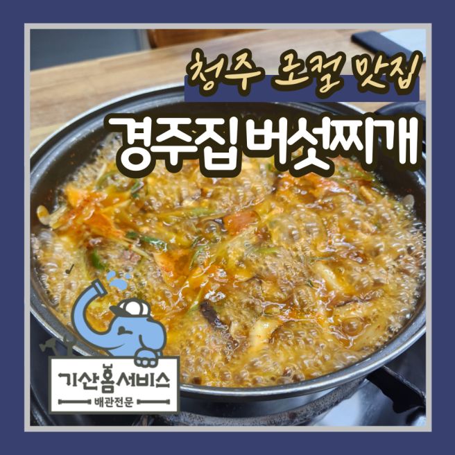 청주 성안길 찐맛집 경주집 버섯찌개 라면사리 필수 웨이팅 주차