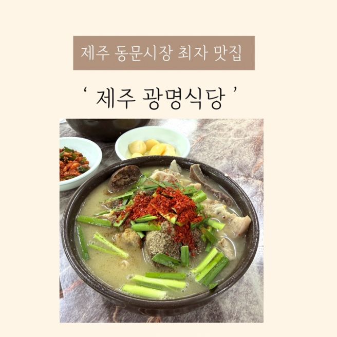 제주 최자로드 으로 유명한 현지인 맛집 동문시장맛집 광명식당
