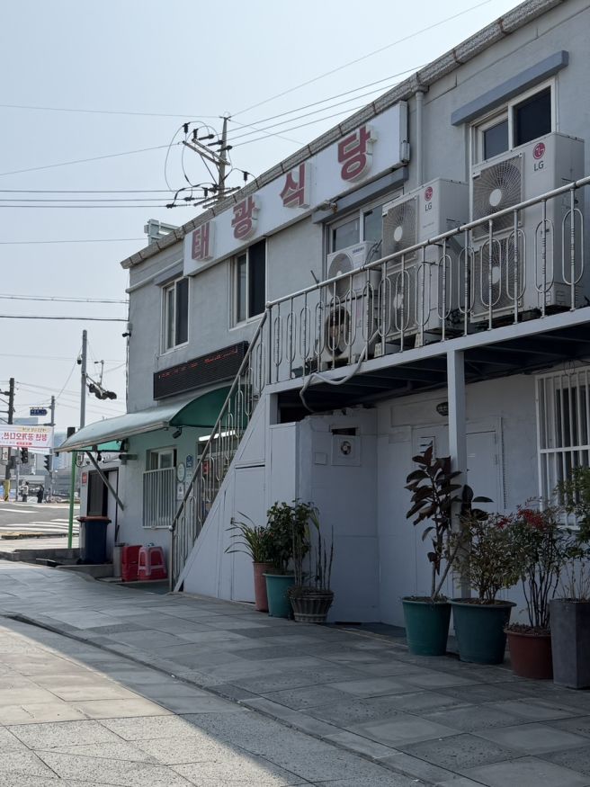 제주 공항 근처 블루리본 찐맛집 태광식당 한치주물럭