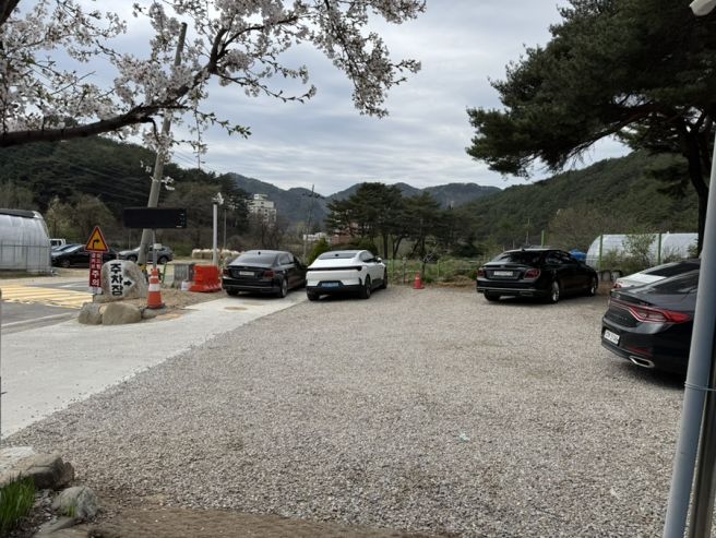 인제 고향집 두부구이 콩비지 맛집 후기(아기랑 가기 좋아요)