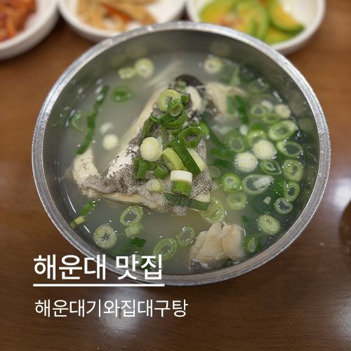 부산 해운대 맛집 N번째 방문한 해운대기와집대구탕 후기