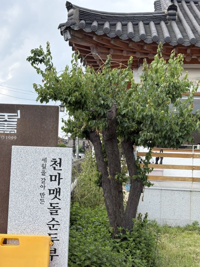 경주 천마맷돌순두부 황리단길 웨이팅 솔직후기