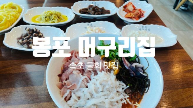 봉포 머구리집 | 속초 물회 내돈내산 식사 후기