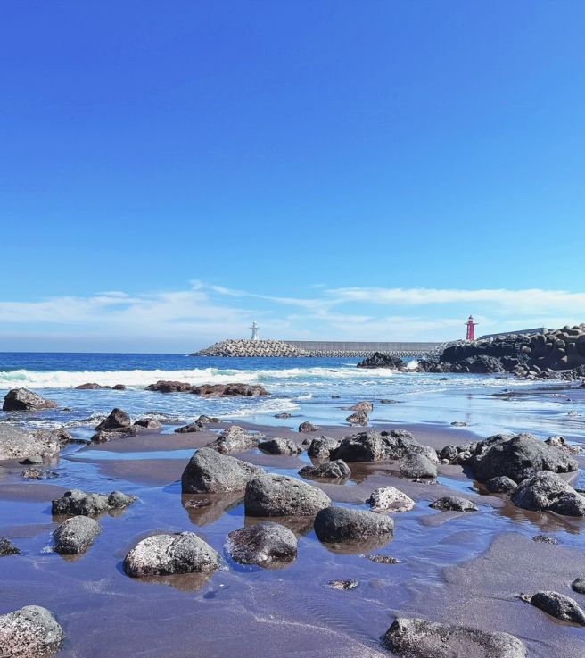 제주 큰엉해안경승지 어진이네횟집 하효쇠소깍해변 등 코스