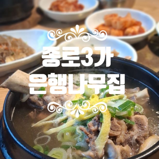 [맛인터뷰] 종로점심 은행나무집 딱 좋은 따뜻한 왕갈비탕/한우국밥