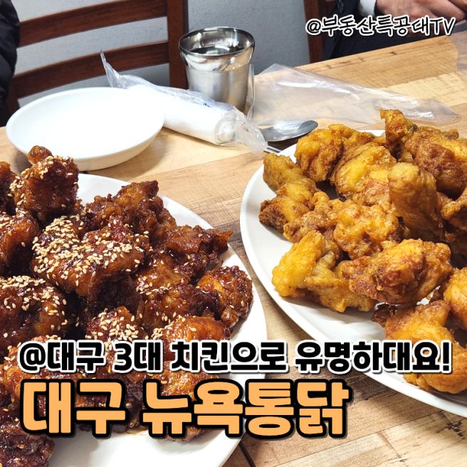 '대구 3대치킨'으로 알려진 '뉴욕통닭' 찜닭 양념치킨 후라이드치킨 내돈내산 후기