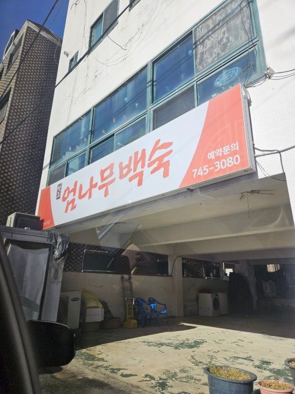 영동 백숙 맛집 엄나무 백숙 (김천 엄나무백숙) 내돈내산