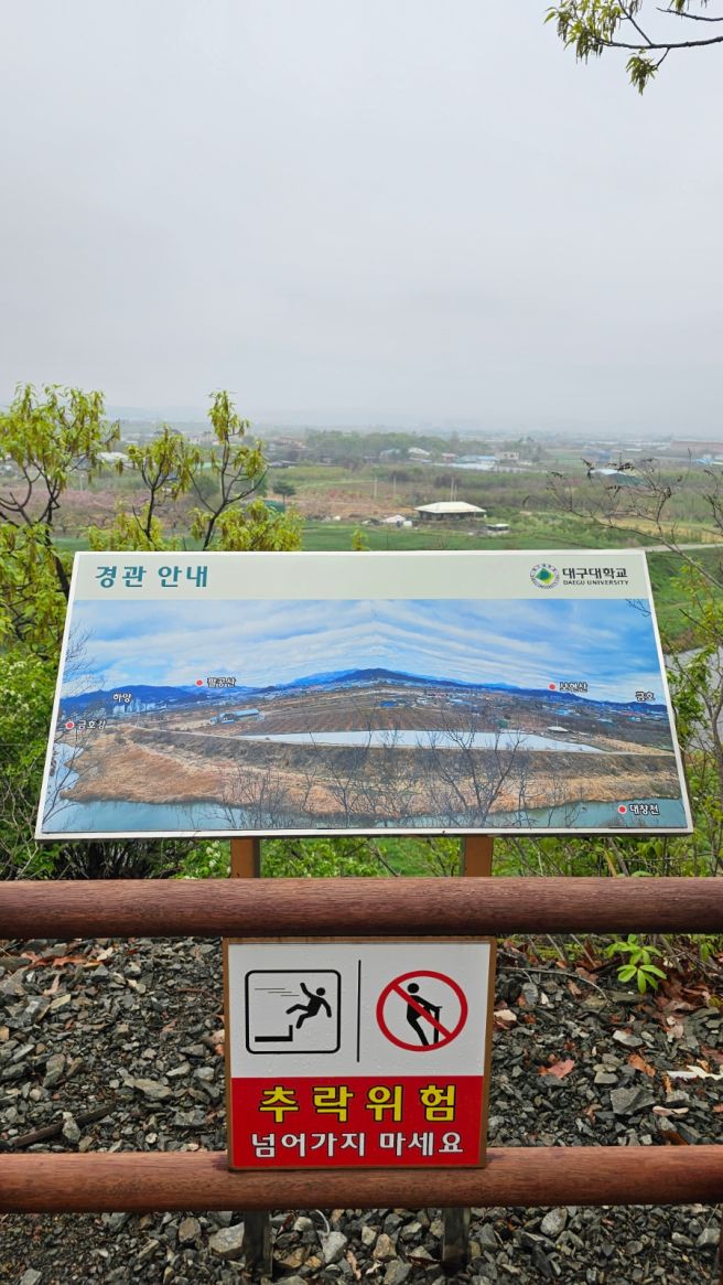 대구대학교 행복숲길 영천 편대장 영화식당 역사문화탐방로 힐링걷기
