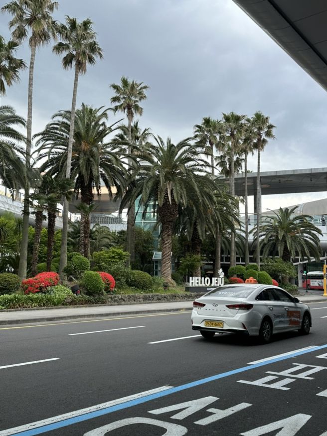 제주 2박3일: 도민 맛집 탐방*내돈내산 (신설오름, 원조하나로국밥, 일통이반, 도갈비)