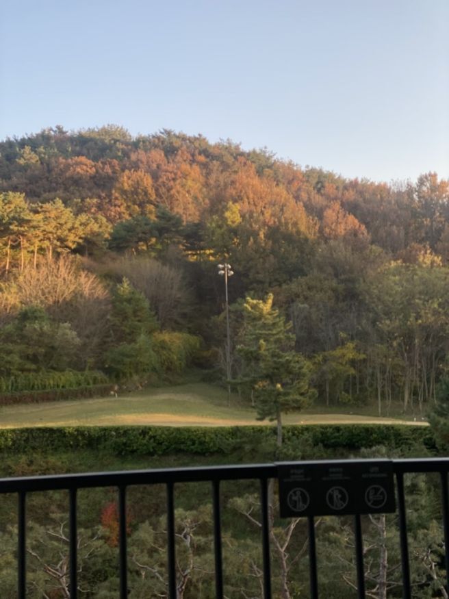 충남, [부여 롯데리조트] 근처 맛집 / 장어구이전문점 [나루터 식당]/ 한우구이[계백관]