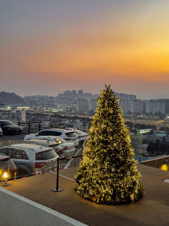 경북 영주 대형 카페 추천 녹스고지 야경명소