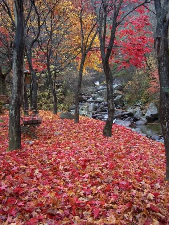 ��� �̹���