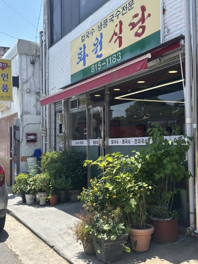 [경북 경산] 칼국수, 냉콩국수전문 화원 식당 내돈내산후기/냉잔치국수/콩국수 후기