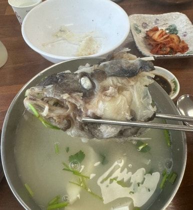 [경산 백천동 맛집] 속이 뻥 뚫리는 해장 맛집! '즐거운 대구탕 본점' 시원한 대구지리탕 후기