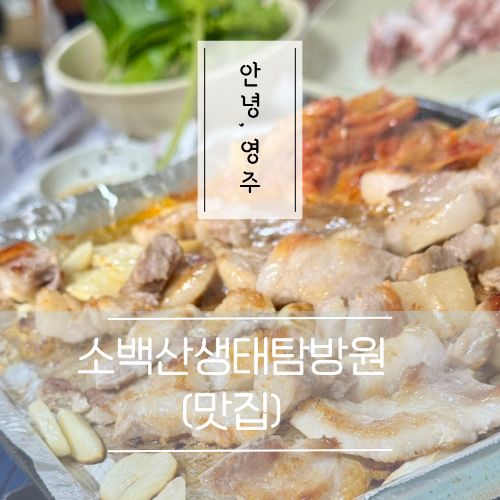 경북 영주 소백산 생태탐방원 맛집 식당 추천