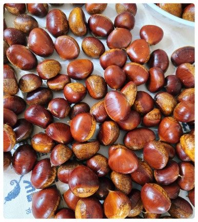 경기북부 연천 맛집 추천 '고려설렁탕' 돌솥설렁탕 : 설경 속 화가의 '백색 캔버스' 위 진한 위로