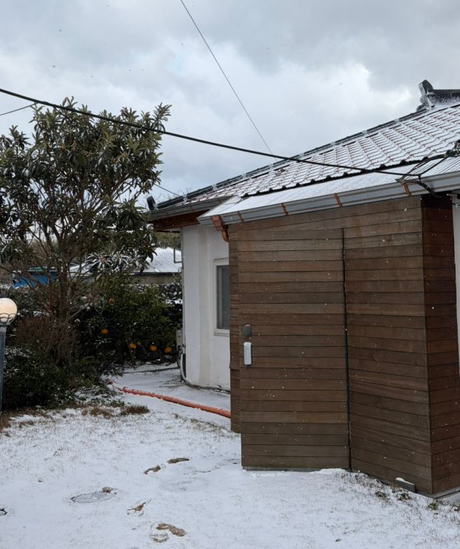 린송솔비 2박 3일 여행 2일차~ (협재해수욕장,슬랩,삼보식당,식물집카페,서귀포시장,애월그때그집본점 )