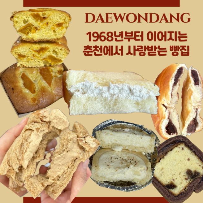 🥯춘천 대원당 : 1968년부터 이어온 춘천 대표 빵집 내돈내산 후기