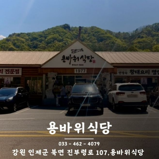 백종원의 3대천왕에도 나왔던 강원도 인제 맛집 용바위식당 다녀온 후기