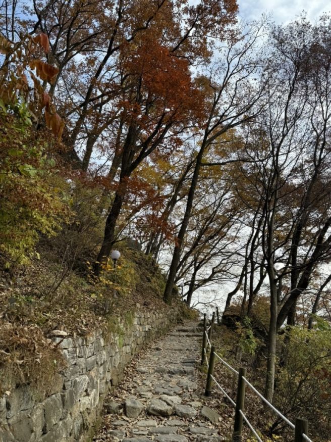 양평근교여행 중 만난 양평백숙맛집 고향식당