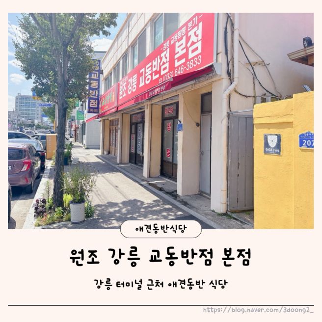 강릉애견동반짬뽕 원조강릉교동반점 본점 내돈내산 후기